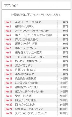 奥様鉄道69　オプション