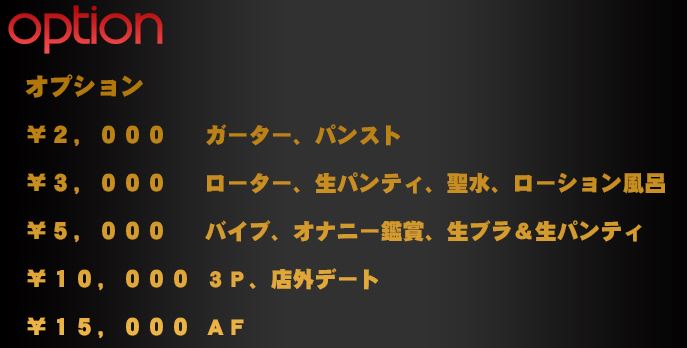 大阪ブロンドハウス　オプション